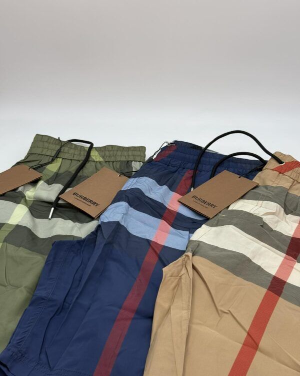 Check Swim Shorts